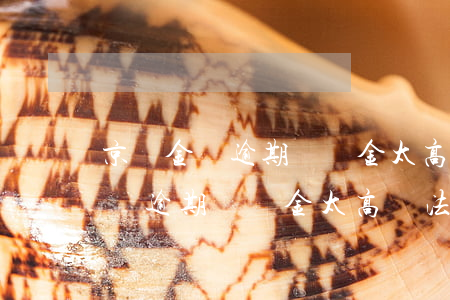 京東金條逾期違約金太高無法接受-京東金條逾期違約金太高無法接受怎么辦