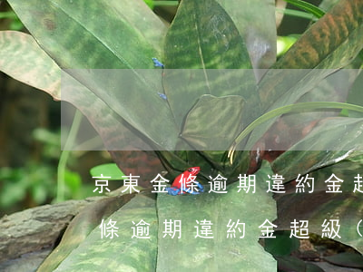 京東金條逾期違約金超級(jí)高（京東金條逾期違約金超級(jí)高）