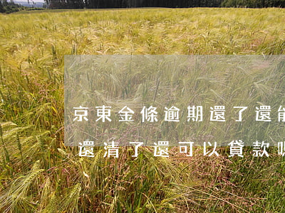 京東金條逾期還了還能借款(京東金條有逾期,還清了還可以貸款嗎)