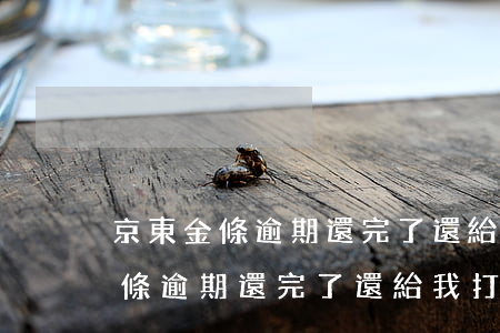 京東金條逾期還完了還給我打電話-京東金條逾期還完了還給我打電話怎么辦