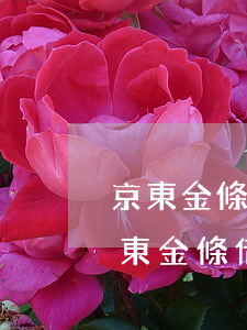 京東金條逾期還款了,再借不給借了,怎么辦（京東金條借10000逾期怎么辦）