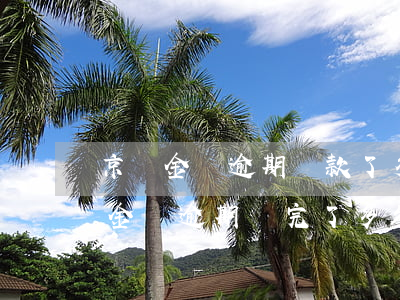 京東金條逾期還款了多久恢復(fù) 京東金條逾期還完了多久才能繼續(xù)申請(qǐng)