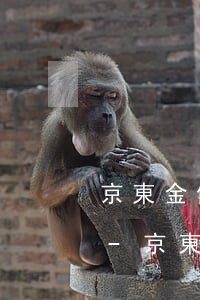 京東金條逾期還款后還有電話(huà)嗎-京東金條逾期還款后還有電話(huà)嗎怎么辦