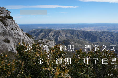 京東金條逾期還清多久可以恢復(fù) 京東金條逾期處理了但是他們要求全部還清