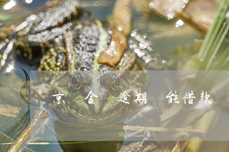京東金條逾期還能借款嗎