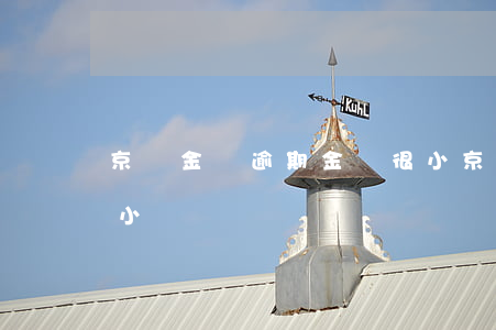 京東金條逾期金額很小(京東金條逾期金額很小)