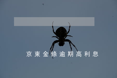 京東金條逾期高利息