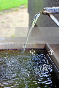 京東金條還未逾期可以協(xié)商嗎(京東金條逾期可以協(xié)商日期一次還清嗎)