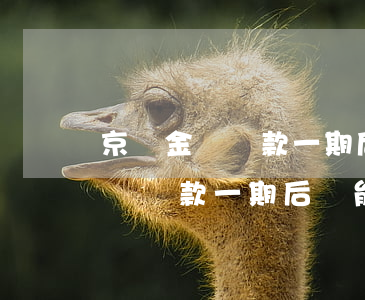 京東金條還款一期后還可以借出不-京東金條還款一期后還能再次借款嗎