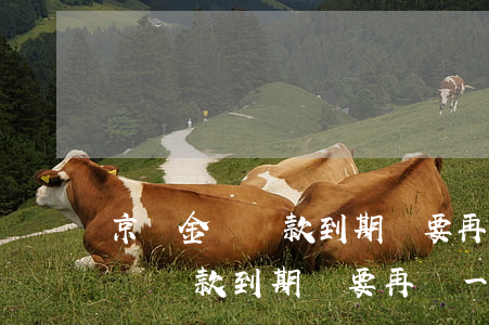 京東金條還款到期還要再還一次嗎-京東金條還款到期還要再還一次嗎安全嗎