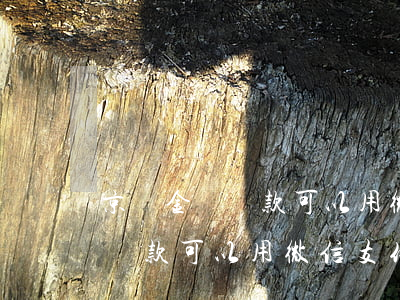 京東金條還款可以用微信支付嗎-京東金條還款可以用微信支付嗎安全嗎