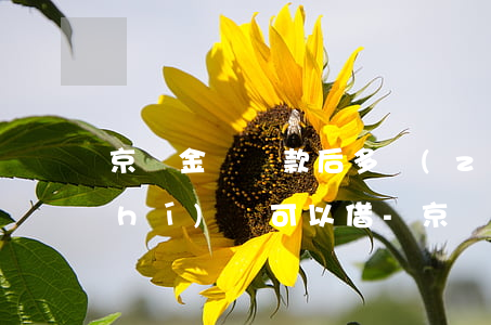 京東金條還款后多長(zhǎng)時(shí)間可以借-京東金條還款后多長(zhǎng)時(shí)間可以借出來(lái)