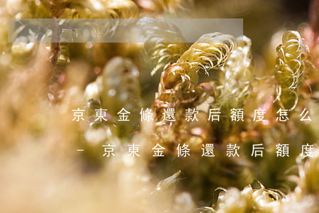 京東金條還款后額度怎么還沒(méi)有-京東金條還款后額度怎么還沒(méi)有恢復(fù)呢