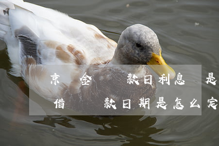 京東金條還款日利息還是月利息-京東金條借錢還款日期是怎么定的