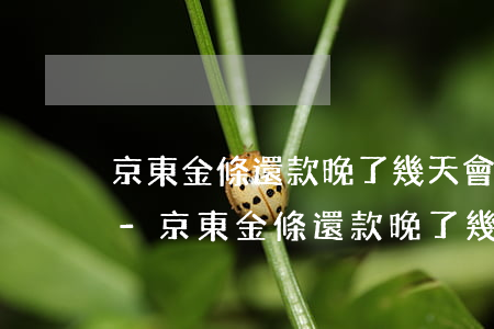 京東金條還款晚了幾天會(huì)怎么樣-京東金條還款晚了幾天會(huì)怎么樣嗎