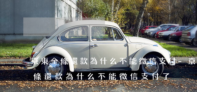 京東金條還款為什么不能微信支付-京東金條還款為什么不能微信支付了