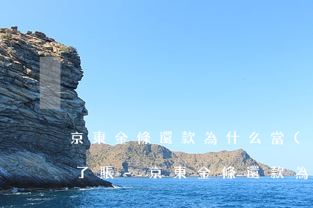 京東金條還款為什么當(dāng)時到不了賬-京東金條還款為什么當(dāng)時到不了賬呢