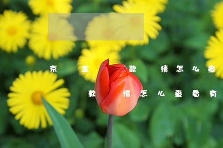 京東金條還款詳情怎么查看有逾期-京東金條還款詳情怎么查看有逾期記錄