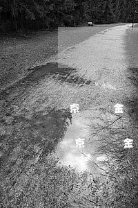 京東金條還款詳細(xì)賬單在哪里找-京東金條還款詳細(xì)賬單在哪里找到