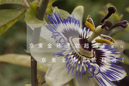 京東金條還款超過(guò)期限了怎么辦-京東金條還款超過(guò)期限了怎么辦啊
