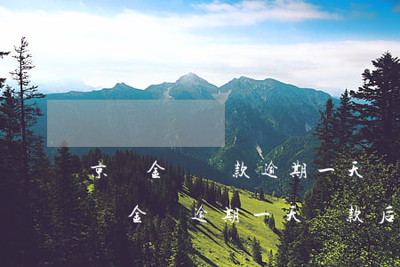京東金條還款逾期一天會(huì)怎樣 京東金條逾期一天還款后還可以借出來(lái)