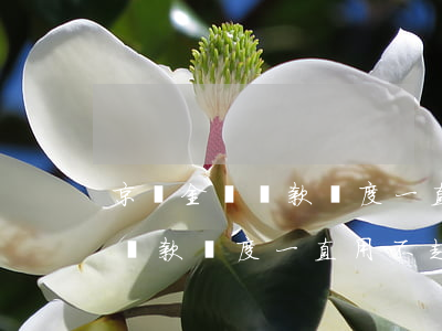 京東金條還款額度一直用不起來-京東金條還款額度一直用不起來怎么辦