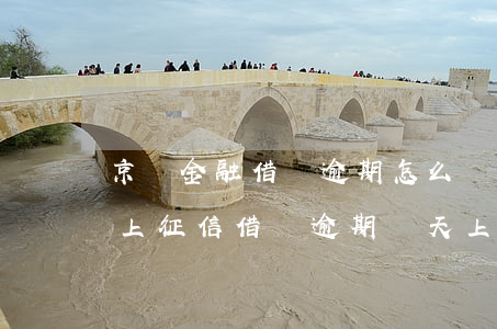 京東金融借唄逾期怎么樣 京東金融逾期多久上征信?借唄逾期幾天上征信