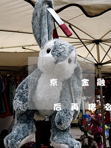 京東金融借款逾期一天還進(jìn)去 然后再借就借不出嗎（京東借款四萬(wàn)逾期）