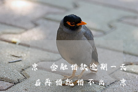 京東金融借款逾期一天還進(jìn)去 然后再借就借不出嗎（京東馬上借錢(qián)逾期）
