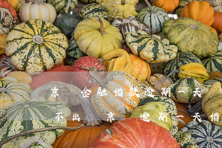 京東金融借款逾期一天還進去 然后再借就借不出嗎（京東逾期一天借不出來）