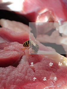 京東金融借錢(qián)逾期5天利息多少(在京東金融里面借錢(qián)逾期一個(gè)月會(huì)怎么樣)