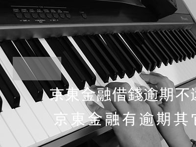 京東金融借錢逾期不還會(huì)怎么樣 京東金融有逾期,其它平臺(tái)還可以借錢嗎