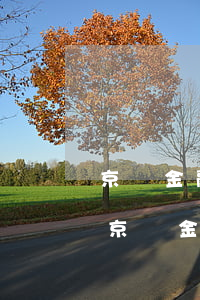 京東金融借錢逾期會凍結(jié)微信嗎（京東金融借錢逾期會凍結(jié)微信嗎）