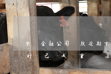 京東金融公司貸款逾期(京東金融長期欠款的行為已構成嚴重違約 法院)