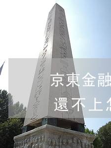 京東金融到期還不上怎么辦（京東金融逾期了還不上怎么處理）