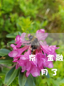 京東金融可以逾期多少個月 京東金融逾期三個月了會有什么后果?