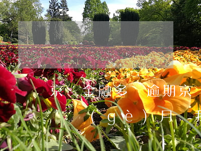京東金融多筆逾期(京東金融欠款三千多 逾期兩個(gè)月 讓我全額還款怎么辦)
