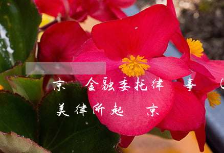 京東金融委托律師事務(wù)所要起訴我（美律所起訴京東）