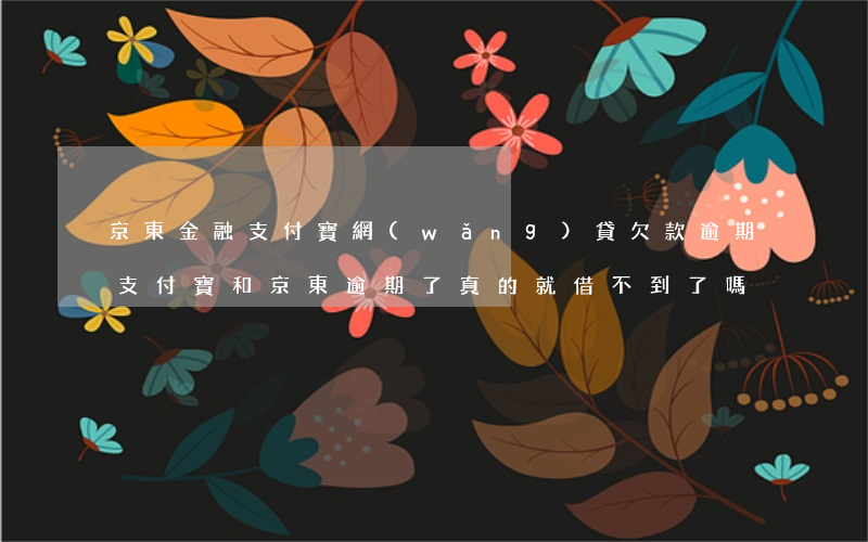 京東金融支付寶網(wǎng)貸欠款逾期(支付寶和京東逾期了真的就借不到了嗎)