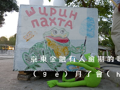 京東金融有人逾期的嗎-京東金融逾期四個(gè)月了會(huì)有什么后果?