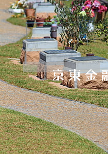 京東金融未逾期