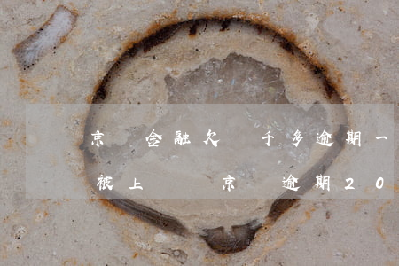 京東金融欠兩千多逾期一年多會(huì)被上門嗎（京東逾期200多天會(huì)上門嗎）