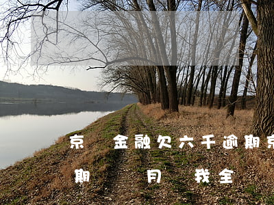 京東金融欠六千逾期(京東金融欠款三千多 逾期兩個月 讓我全額還款怎么辦)