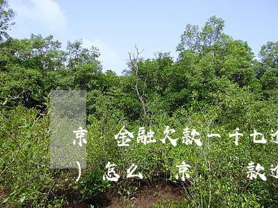 京東金融欠款一千七逾期一百天會(huì)怎么樣（京東貸款逾期60天）
