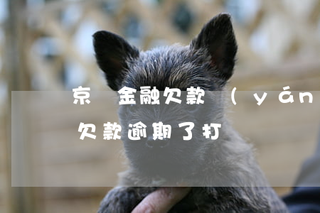 京東金融欠款嚴(yán)重逾期(京東金融欠款逾期了打電話說來家里找)