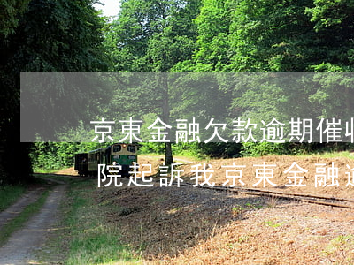 京東金融欠款逾期,催收說我惡意拖欠,要去法院起訴我（京東金融逾期說已收集惡意拖欠）