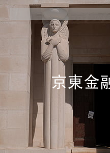 京東金融欠白條款怎么辦(京東白條欠錢)
