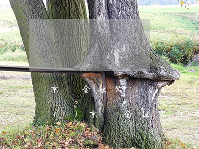 京東金融欠錢(qián)逾期上門(mén)(京東金融欠款逾期了打電話(huà)說(shuō)來(lái)家里找)