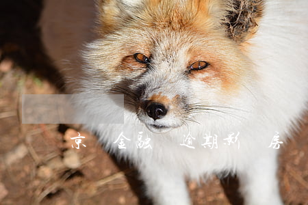 京東金融沒逾期影響房貸嗎