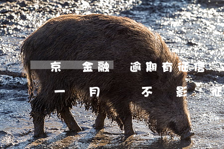 京東金融沒逾期有征信記錄嗎(京東金融逾期一個月還會不會影響征信記錄)